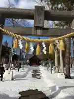 出雲神社の{uncategorized: "未分類", other: "その他", undefined: "問題あり", building: "その他建物", grave: "お墓", sacred_gate: "鳥居", guardian: "狛犬", statue: "像", buddha: "仏像", history: "歴史", nature: "自然", garden: "庭園", animal: "動物", pagoda: "塔", temizu: "手水舎", mountain_gate: "山門・神門", sanctuary: "本殿・本堂", subordinate: "末社・摂社", art: "芸術", scenery: "景色", jizo: "地蔵", ema: "絵馬", goshuin: "御朱印", omikuji: "おみくじ", items: "授与品その他", amulet: "お守り", goshuincho: "御朱印帳", eats: "食事", festival: "お祭り", votive_dance: "神楽", shichigosan: "七五三参", wedding: "結婚式", experience: "体験その他", initially: "初詣", around: "周辺", anti_infection: "感染症対策"}