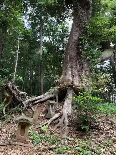 日吉神社の自然
