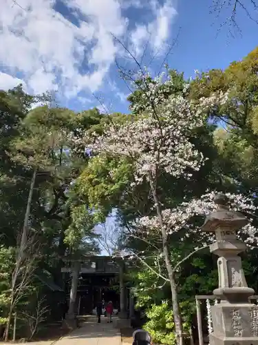 赤坂氷川神社(東京都)