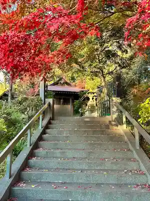 深大寺(東京都)