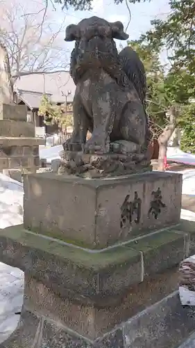 新琴似神社の狛犬