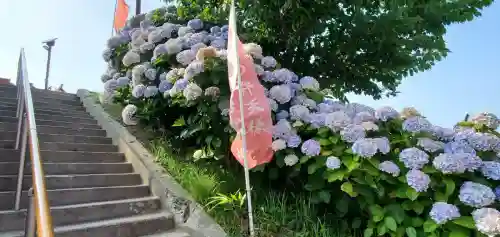 富主姫神社(宮城県)