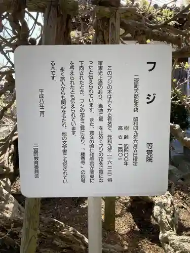 等覚院（藤巻寺）(神奈川県)