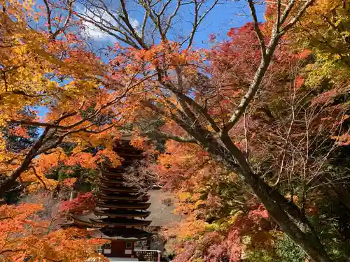 談山神社の自然