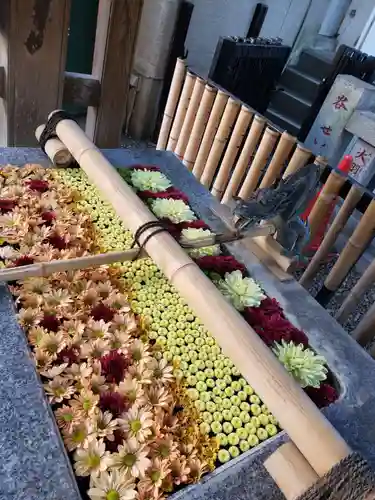 高円寺氷川神社の手水