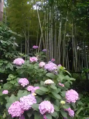 蛇苦止明神(蛇苦止堂)の自然