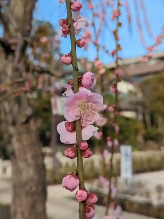 常性寺(東京都)