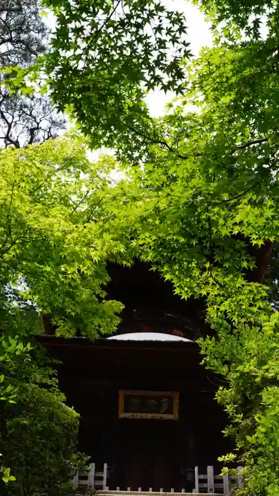 常寂光寺(京都府)