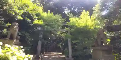 赤坂氷川神社(東京都)