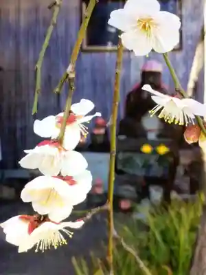 成願寺(東京都)