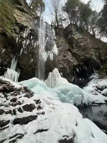 上尾御嶽神社の自然