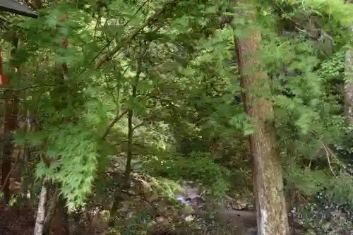 日吉大社の自然