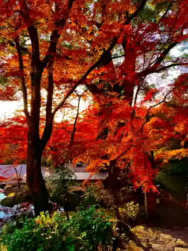 宝満宮竈門神社の自然
