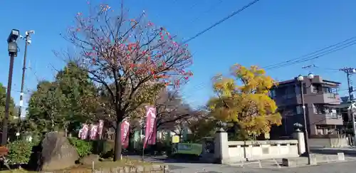南藏院(東京都)