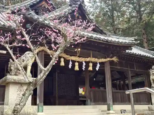 八幡神社(兵庫県)