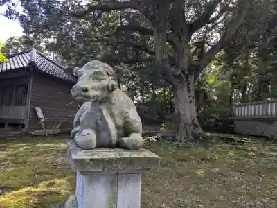 八日市普活廼神社(福井県)