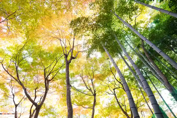 両足寺(山口県)