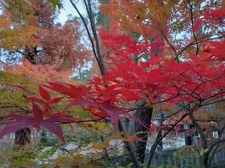 阿部野神社の自然
