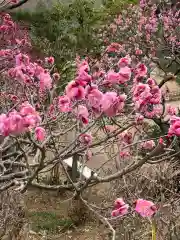 中山寺の自然