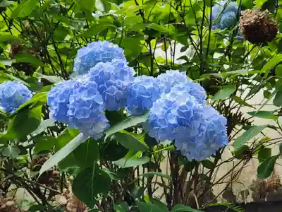 白峰神社(香川県)