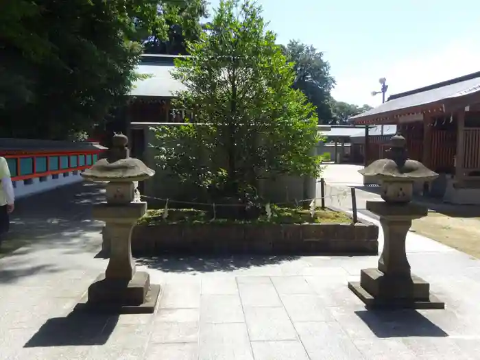 富岡八幡宮の建物その他