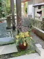 立江八幡神社(徳島県)