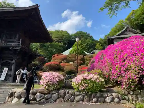 等覚院(神奈川県)