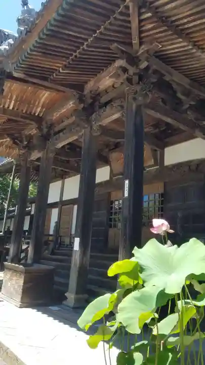 修禅寺の本殿・本堂