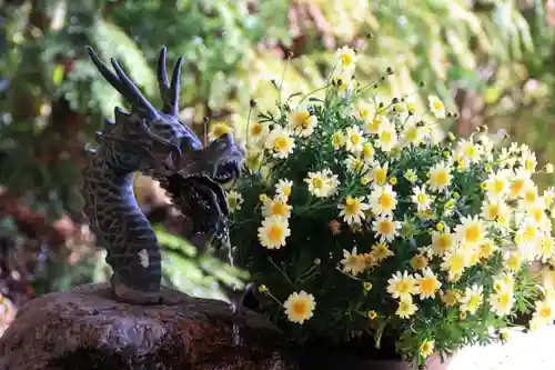 小川諏訪神社の手水舎