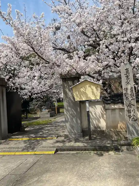 金剛院(大阪府)
