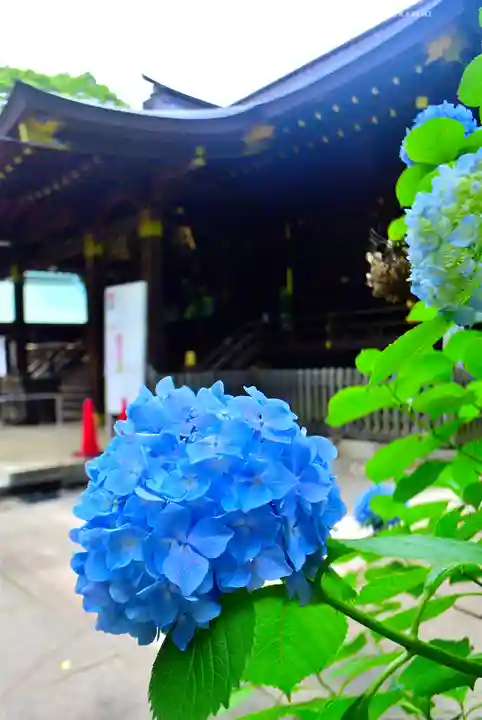 渋谷氷川神社(東京都)