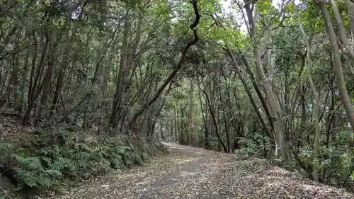 大尾神社の自然