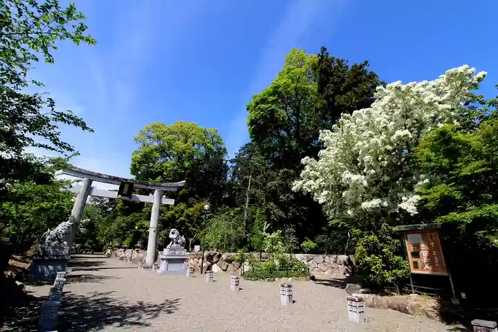 沙沙貴神社(滋賀県)