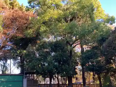 太子堂八幡神社(東京都)