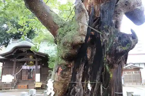 阿邪訶根神社の景色