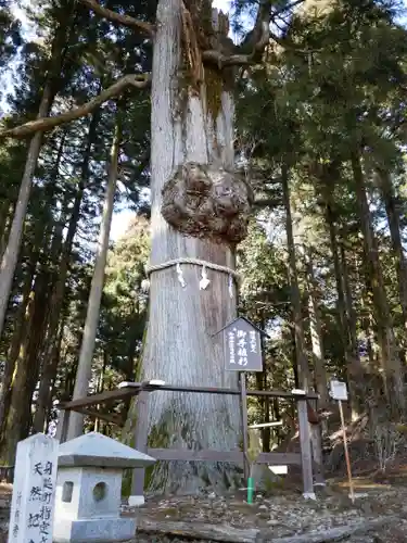 奥之院思親閣の建物その他