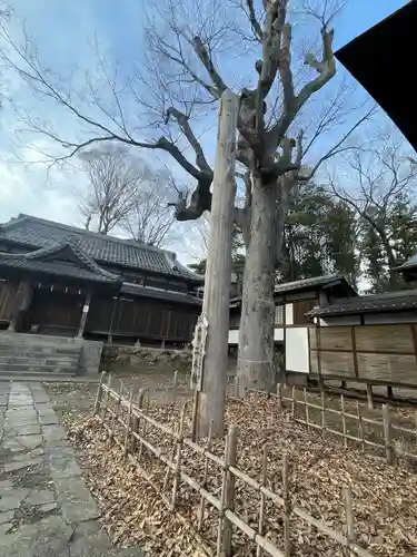 湯福神社のその他建物