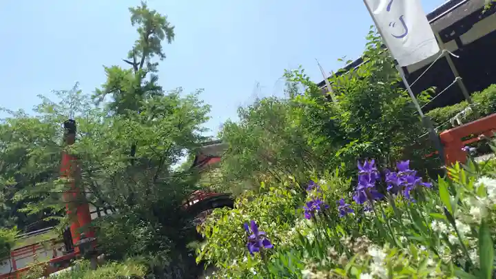 賀茂御祖神社(下鴨神社)の庭園