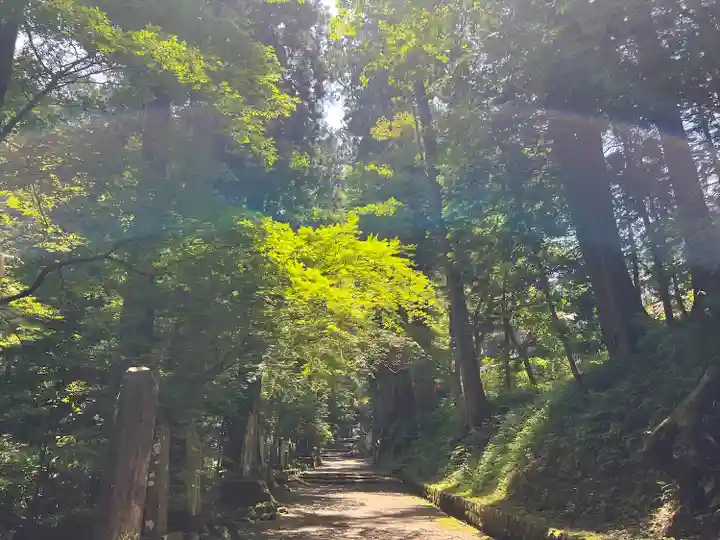 最乗寺(道了尊)(神奈川県)