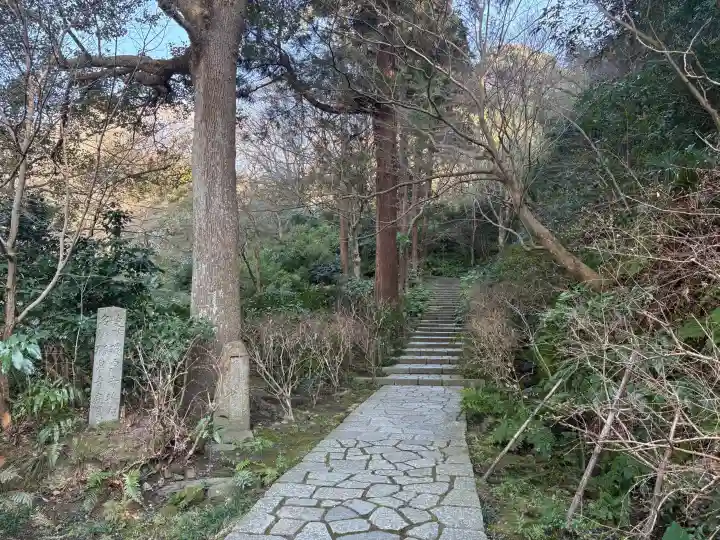瑞泉寺の{uncategorized: "未分類", other: "その他", undefined: "問題あり", building: "その他建物", grave: "お墓", sacred_gate: "鳥居", guardian: "狛犬", statue: "像", buddha: "仏像", history: "歴史", nature: "自然", garden: "庭園", animal: "動物", pagoda: "塔", temizu: "手水舎", mountain_gate: "山門・神門", sanctuary: "本殿・本堂", subordinate: "末社・摂社", art: "芸術", scenery: "景色", jizo: "地蔵", ema: "絵馬", goshuin: "御朱印", omikuji: "おみくじ", items: "授与品その他", amulet: "お守り", goshuincho: "御朱印帳", eats: "食事", festival: "お祭り", votive_dance: "神楽", shichigosan: "七五三参", wedding: "結婚式", experience: "体験その他", initially: "初詣", around: "周辺", anti_infection: "感染症対策"}
