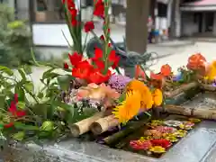 今市報徳二宮神社(栃木県)