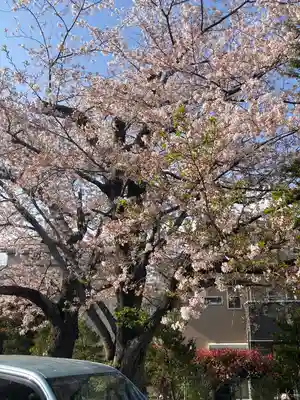 蓮大寺(神奈川県)