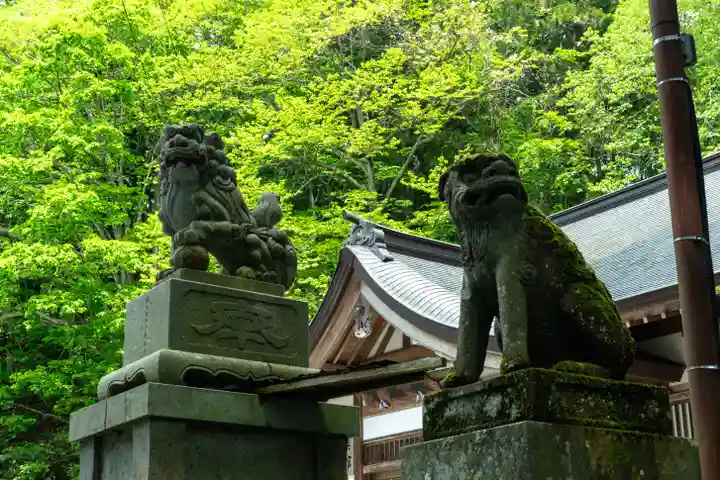 戸隠神社中社(長野県)