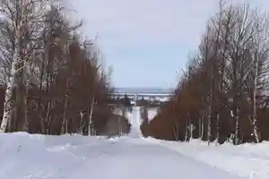 宝光寺の景色(2022年02月17日(木) 14時50分40秒投稿)