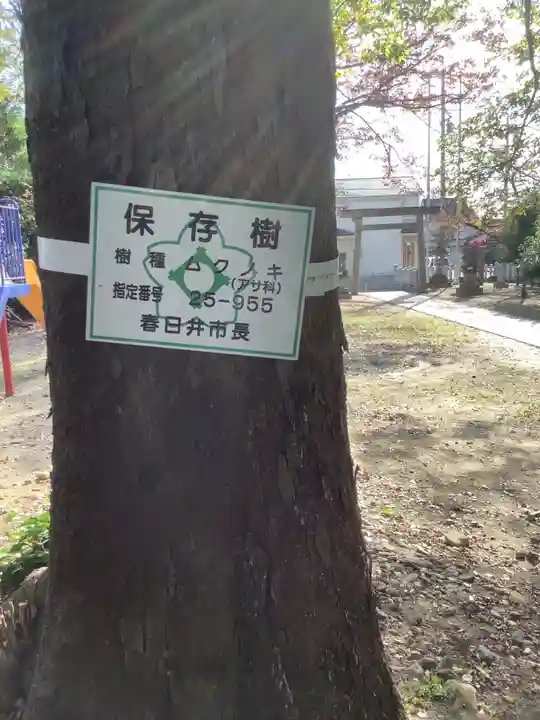 神明社(神明大明神)の自然