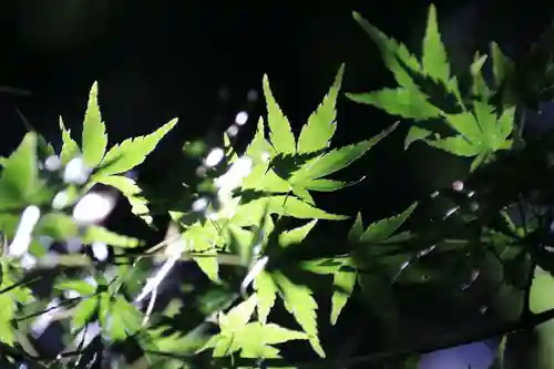 滑川神社 - 仕事と子どもの守り神の自然