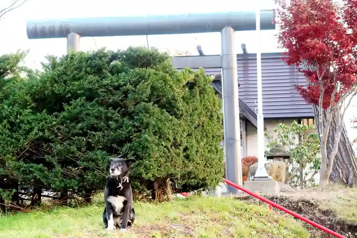 伊夜日子神社(北海道)