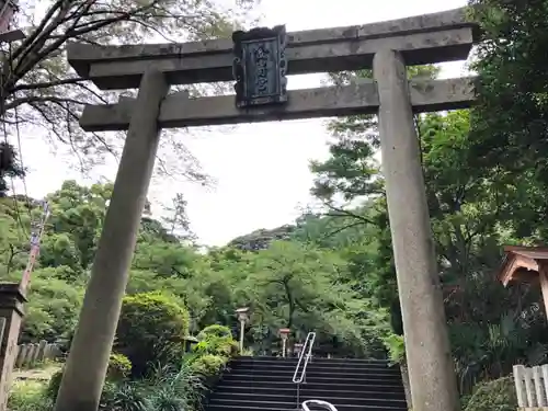 金崎宮の鳥居