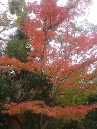 鶴岡八幡宮の自然