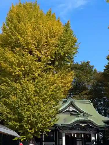 亀有香取神社(東京都)